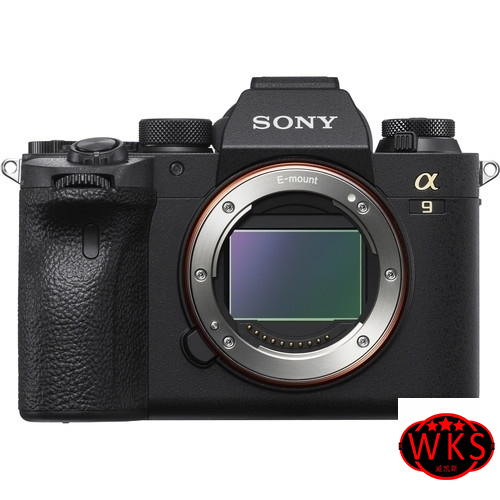 Sony Alpha a9 II Mirrorless Digital Camera Body 