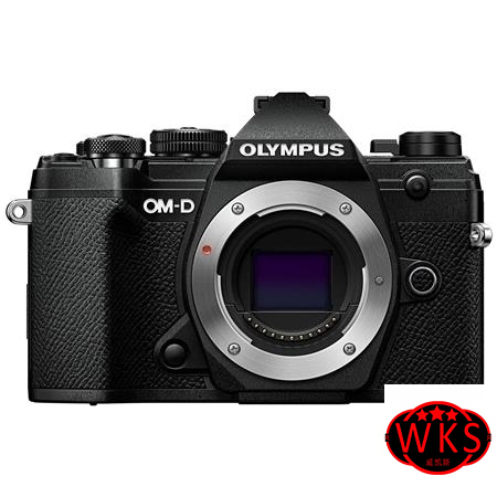 Olympus OM-D E-M5 Mark III Mirrorless Camera Body